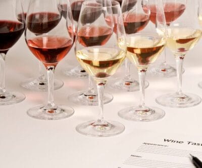 SVH Vinoloog/Sommelier