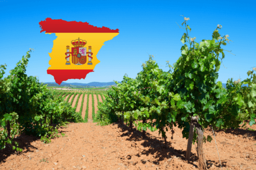  9-delige cursus: Spaanse wijnen en wijngebieden