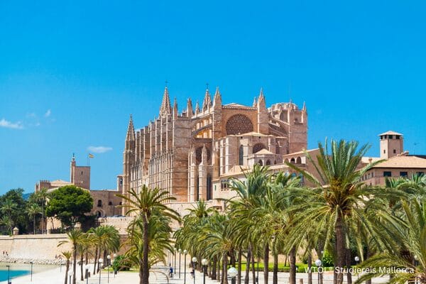 Wijnreis Mallorca 2026