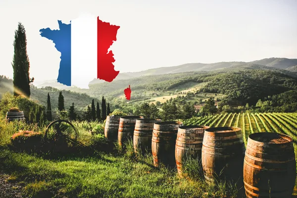 9-delige cursus: Franse wijnen en wijngebieden