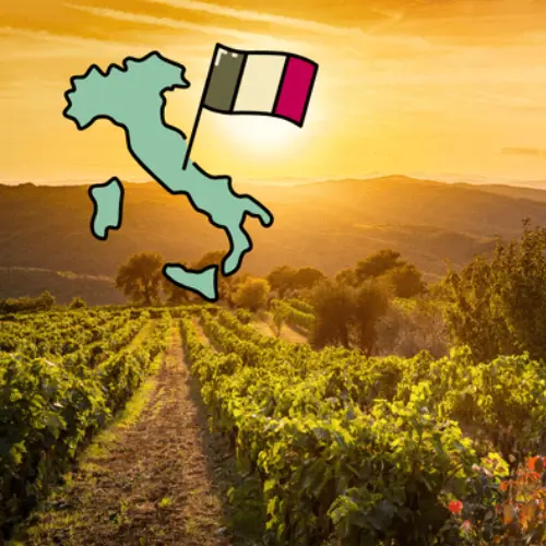 9-delige cursus: Italiaanse wijnen en wijngebieden